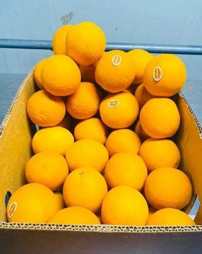 A Grade Imported Malta Orange Packaging Size 14 Kg Packaging Type Carton Rs 1000 14kgs Box