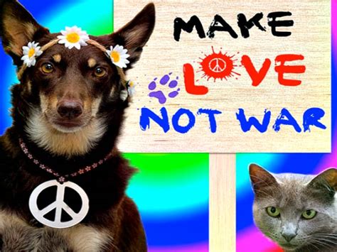 7 Signs Your Dog Is A Hippie Philly