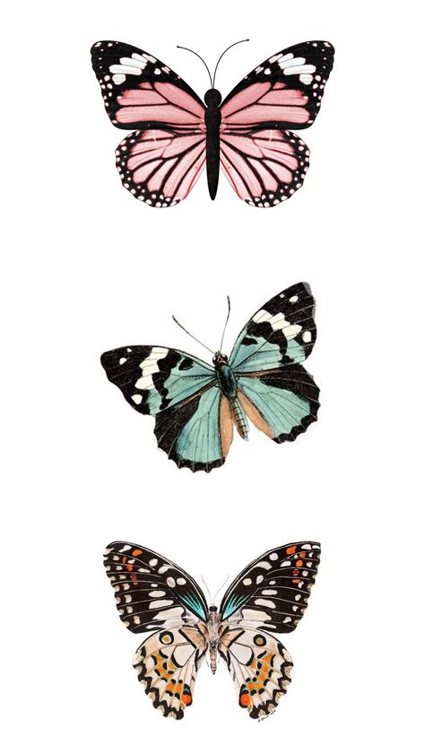 Vsco Reesebrewer Butterfly Art Butterfly Wallpaper Iphone