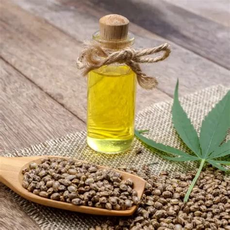 Hemp Seed Oil Bask In Nature