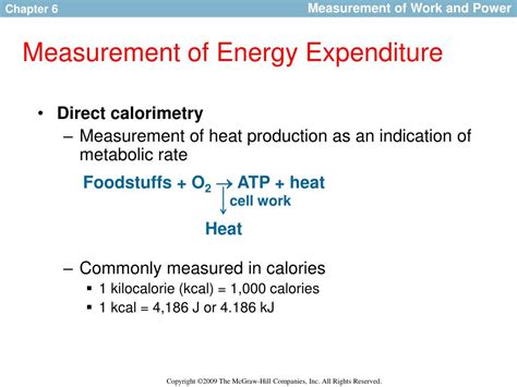 How Is Energy Expenditure Measured Cloudshareinfo