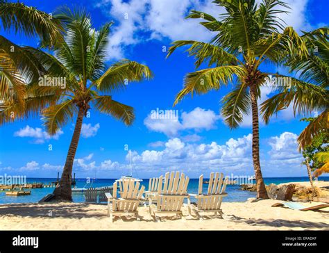 Beautiful Caribbean Beach On Saona Island Dominican Republic Stock