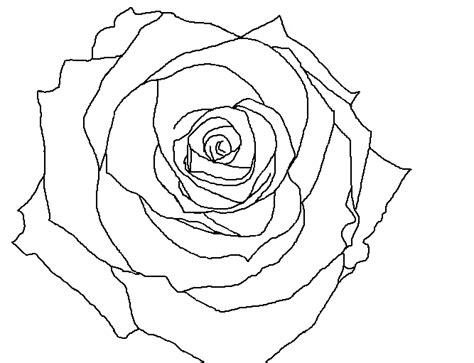 58,177 transparent png illustrations and cipart matching rose. Rose Lineart Free Download Clip Art - WebComicms.Net