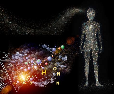 Star Ingredients In The Human Body Are We Made By Stars