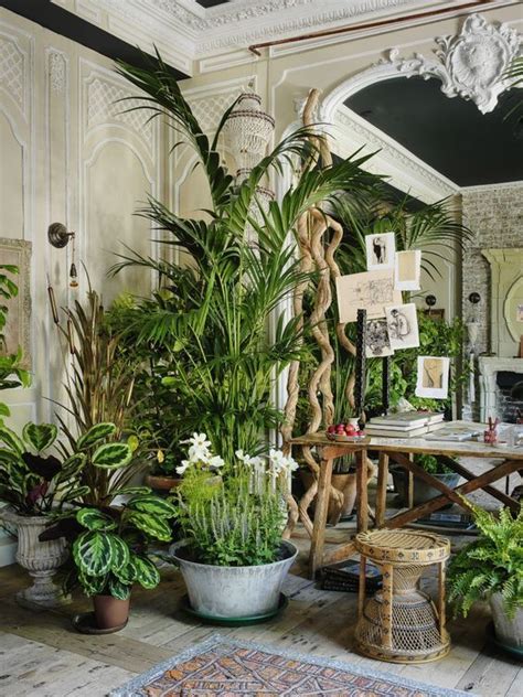 Interior Jungle From Moon To Moon Bloglovin House Plants Indoor