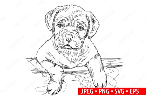 Cute Sad Dog Illustration Drawing Sketch Graphic By Topstar · Creative