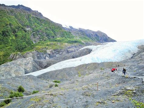 Exit Glacier Kenai Fjords National Park 2020 All You Need To Know