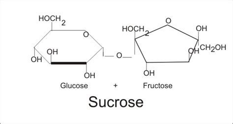 Pictures Of Sucrose