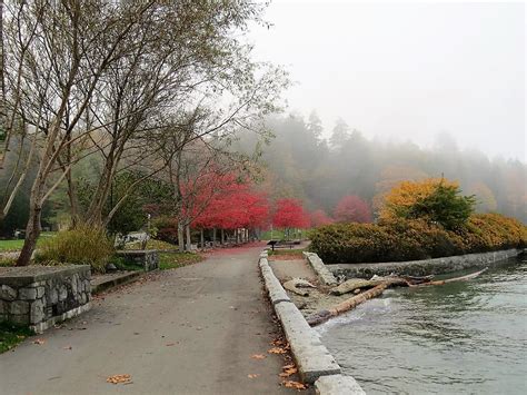 Autumn Is Almost Arrived At Stanley Park Photo