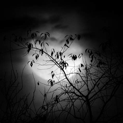 Autumn Moon Photograph By Greg Kear Fine Art America