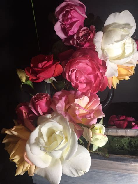 Caravaggio is best known for being a renowned yet controversial italian painter of the late 1500s and early 1600s. Photo Reference for Painting | Flower photos, Beautiful ...
