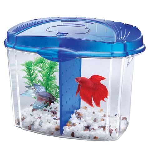 Aqueon Betta Bowl Aquarium Kit In Blue Petco