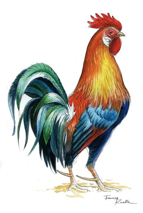 Gallo Galo En Acuarela Etsy Rooster Painting Rooster Art Birds