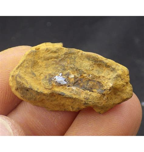 Fossils 8 G Nantan Iron Meteorite