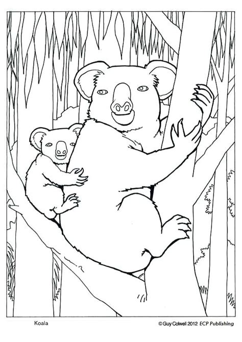 Free printable zentangle koala coloring pages for adults. Koala Colouring Pages « Animal Coloring Pages for Kids