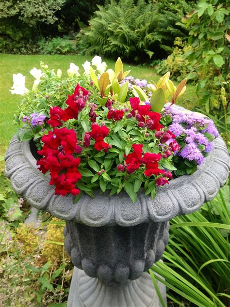 Colorful Pot Flower Pots Garden Pots Garden Urns