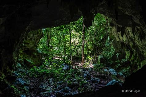 Belize Cave And Jungle Tours Hamanasi Adventure Resort