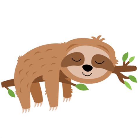 Download High Quality Sloth Clipart Tiny Transparent Png Images Art