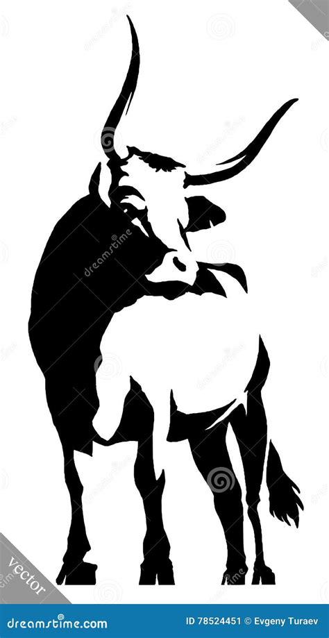 How To Draw Bull Step By Step Cartoon Illustration With White
