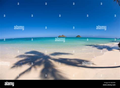 Palm Shadow On Lanikai Beach Kailua Oahu Hawaii Stock Photo Alamy