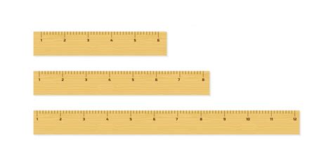 Premium Vector Wooden Different Size Rulers 6 8 And 12 Inch Long