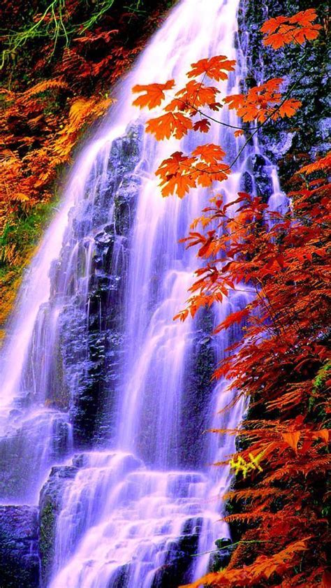Autumn Falls Beautiful Waterfalls Autumn Scenery Beautiful Landscapes