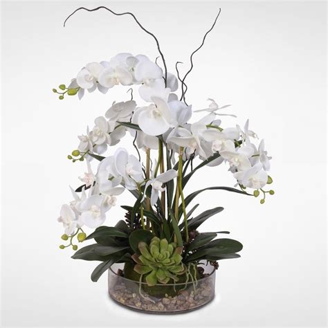 Real Touch White Phalaenopsis Orchid With Succulents And Natural Rocks In A Glass Pot In 2020