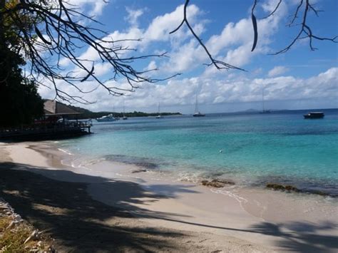 mustique 2024 all you need to know before you go tripadvisor