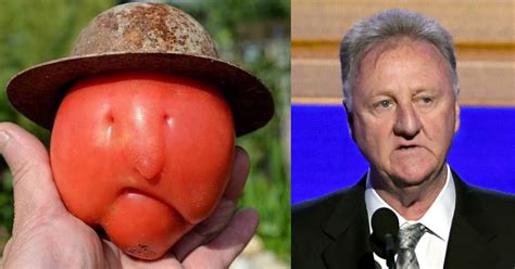 Does this tomato look like Larry Bird? | Fox 59