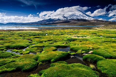 Volcano Lake Clouds Chile Snowy Peak Grass Nature