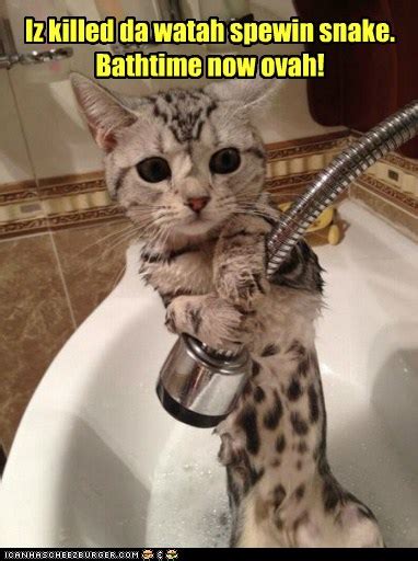 glue da batroom door shut    bring   lolcats lol cat memes funny
