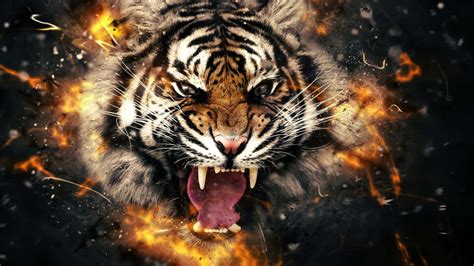 100 Tiger Face Wallpapers