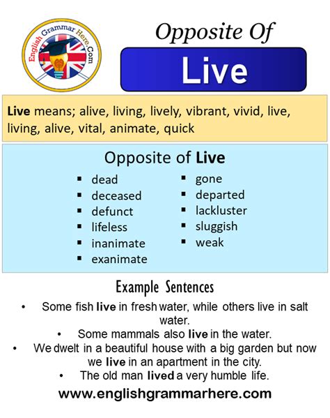 Opposite Words Archives Page 31 Of 89 English Grammar Here