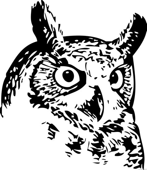 Black And White Owl Coloring Pages Great Owl Printable Coloring4free