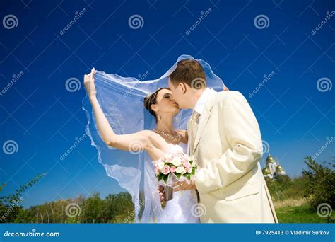 Kiss Of Bride And Groom Stock Image Image Of Groom Adult 7925413