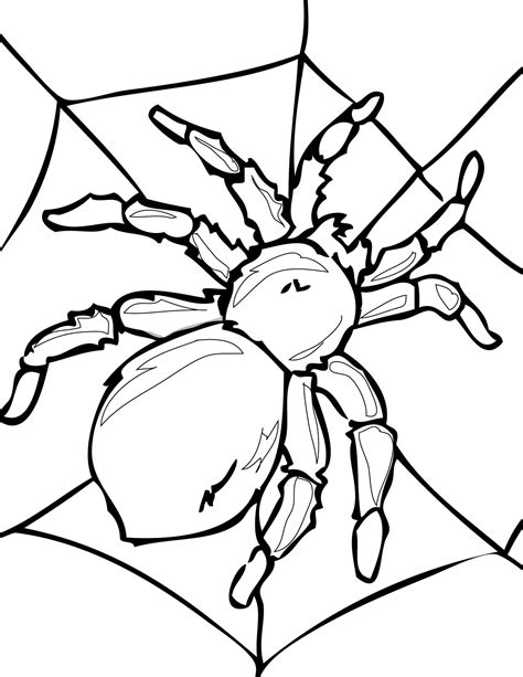 Now you can find it all in these beautiful coloring pages , and do justice to his red suit recognizable by his drawn cobweb and his blue tights, or completely change the color of his outfit by customizing it to your taste. Free Printable Spider Coloring Pages For Kids