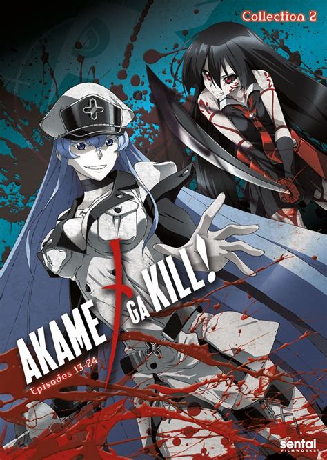 Akame Ga Kill 2 Usa Dvd Amazones Películas Y Tv