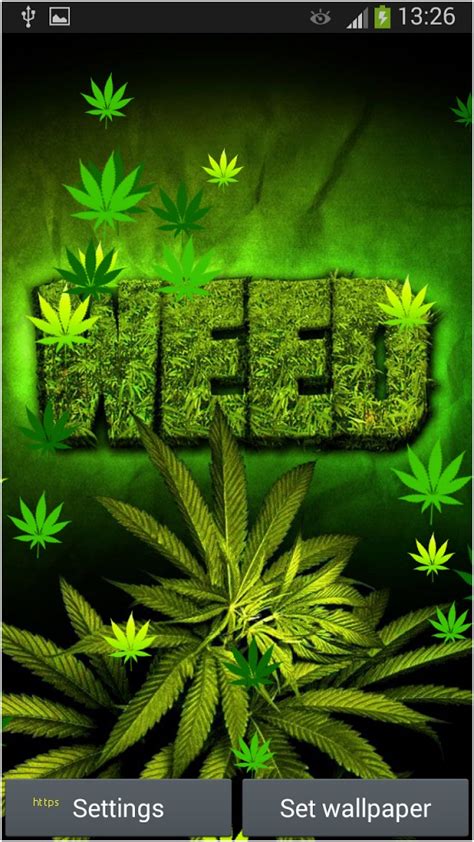 Cool Wallpapers For Weed Weed Wallpaper Leaf In Pot Of Cannabis