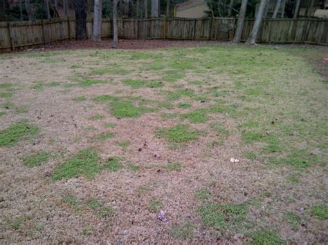 Also, kills grass as well as broadleaved plants. Pre-emergent - Apply During a Warm Winter | Walter Reeves: The Georgia Gardener
