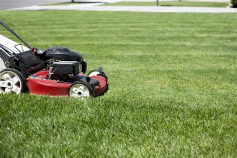 Assuming you plant correctly in the appropriate season with the when my zenith zoysia grass seed begins growing in the spring it appears to seed. How Often Should You Mow the Lawn? | The Turfgrass Group Inc