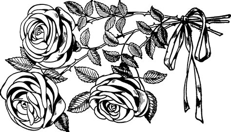 Vintage Snips And Clips Black And White Illustration Of Three Roses