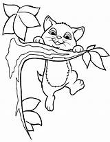 Coloring Kitten Pages Printable Kids Tree sketch template