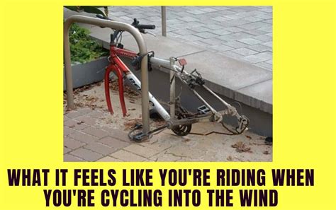 The 22 Best Bike Memes Funny Cycling Memes That Every Rider Can Relate To
