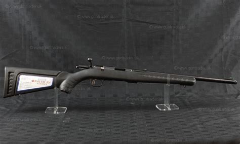 Ruger 17 Hmr Semi Auto Rifle