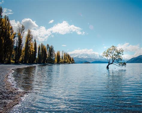The 5 Best Natural Wonders To See In New Zealand Travel Insider