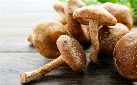 Shiitake Mushrooms Impressive Health Benefits In A Delicious Package