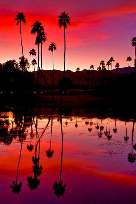 Palm Springs Sunset 2 By Photosbyflood Sunset Scenery Nature