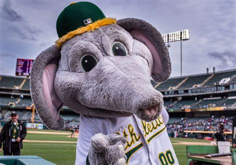 Oakland As — And Stomper — Head To Sacramento To Pitch New Stadium Plan