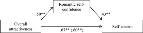 self perceived attractiveness romantic desirability and self esteem a mating sociometer