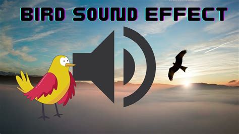 Bird Sound Effect Youtube